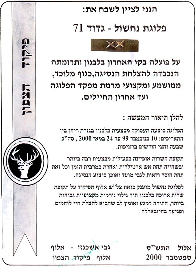 פלוגת נחשול - גדוד 71 פלוגת נחשול - גדוד 71